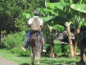 marquisien-a-cheval